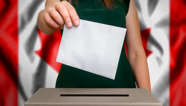 werner-electoral-banner.jpeg