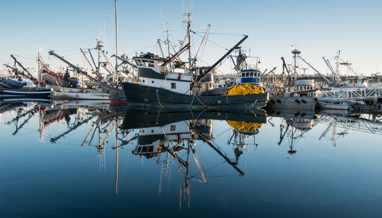 fishing-subsidies-banner.jpeg